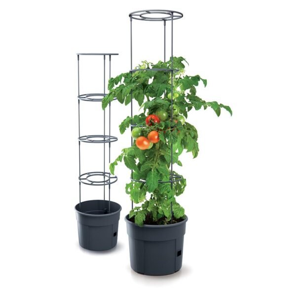 Γλαστράκι Tomato Grower, Y31,5x∅39,2εκ - Image 2