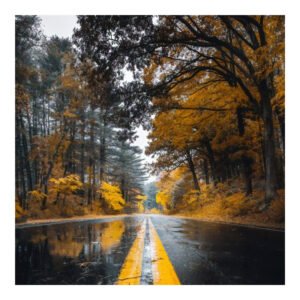 Πίνακας σε καμβά Savgone House Genius ψηφιακής εκτύπωσης 50x1.8x50εκ