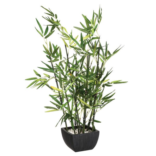 Φυτό σε γλάστρα Green House Genius 43x34x67εκ