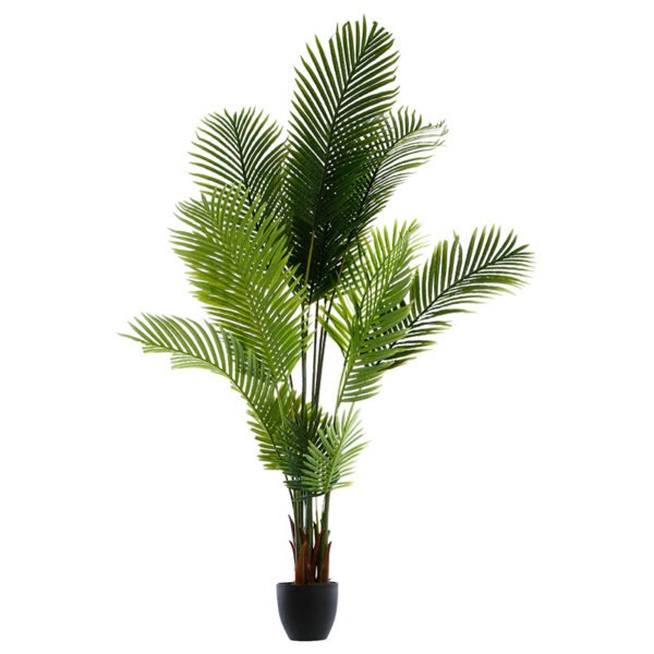 Φυτό σε γλάστρα Green9 House Genius 114x105x180εκ