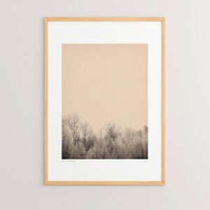 Πίνακας Quany House Genius με ψηφιακή εκτύπωση και πλαίσιο 33x1.5x48εκ